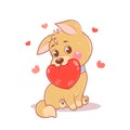 Happy lover valentine puppy with a red heart isolated on white background. Royalty Free Stock Photo